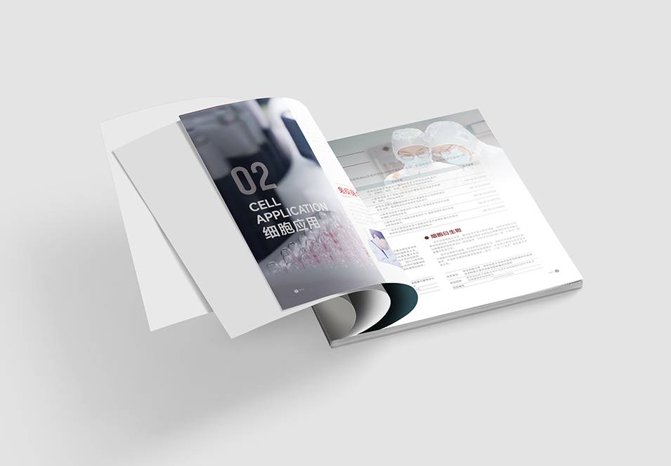 銀豐生物集團企業(yè)畫冊設(shè)計