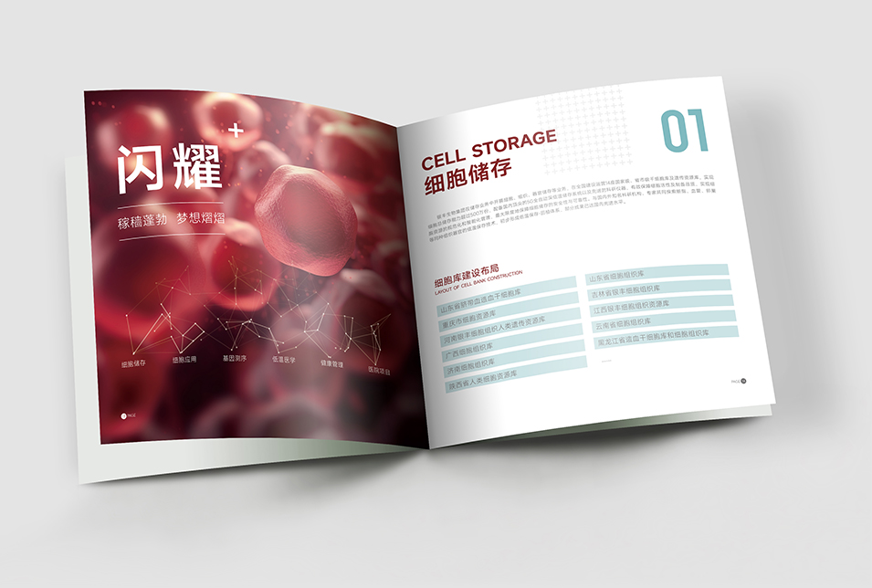 銀豐生物集團企業(yè)畫冊設(shè)計