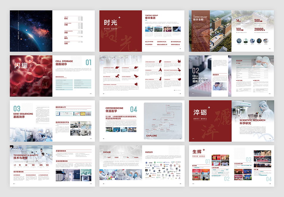 銀豐生物集團企業(yè)畫冊設(shè)計
